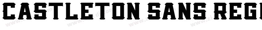 Castleton Sans Regul字体转换